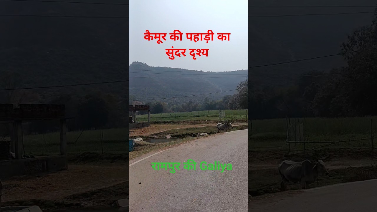 kaise din bite koi #youtubeshorts #subscribers #vlog #villagelife #travel