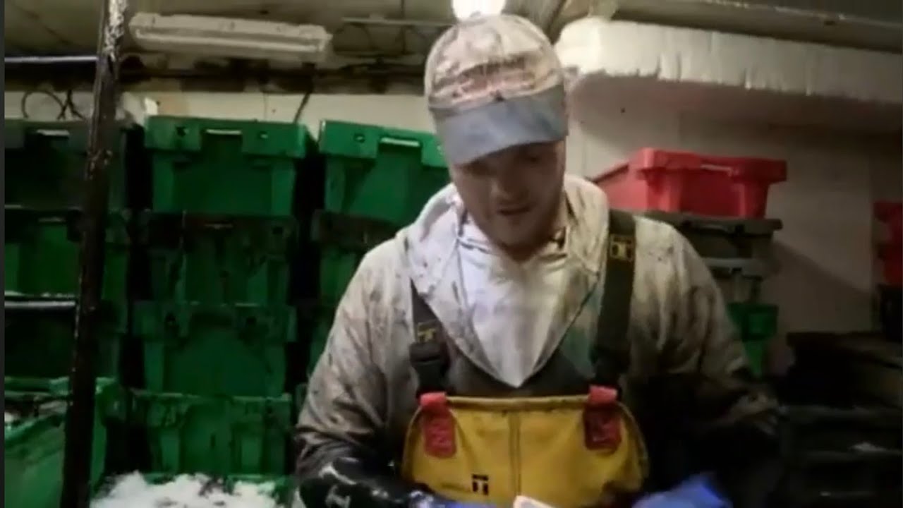 North Sea Fishing Documentary Season 1 Episode 1