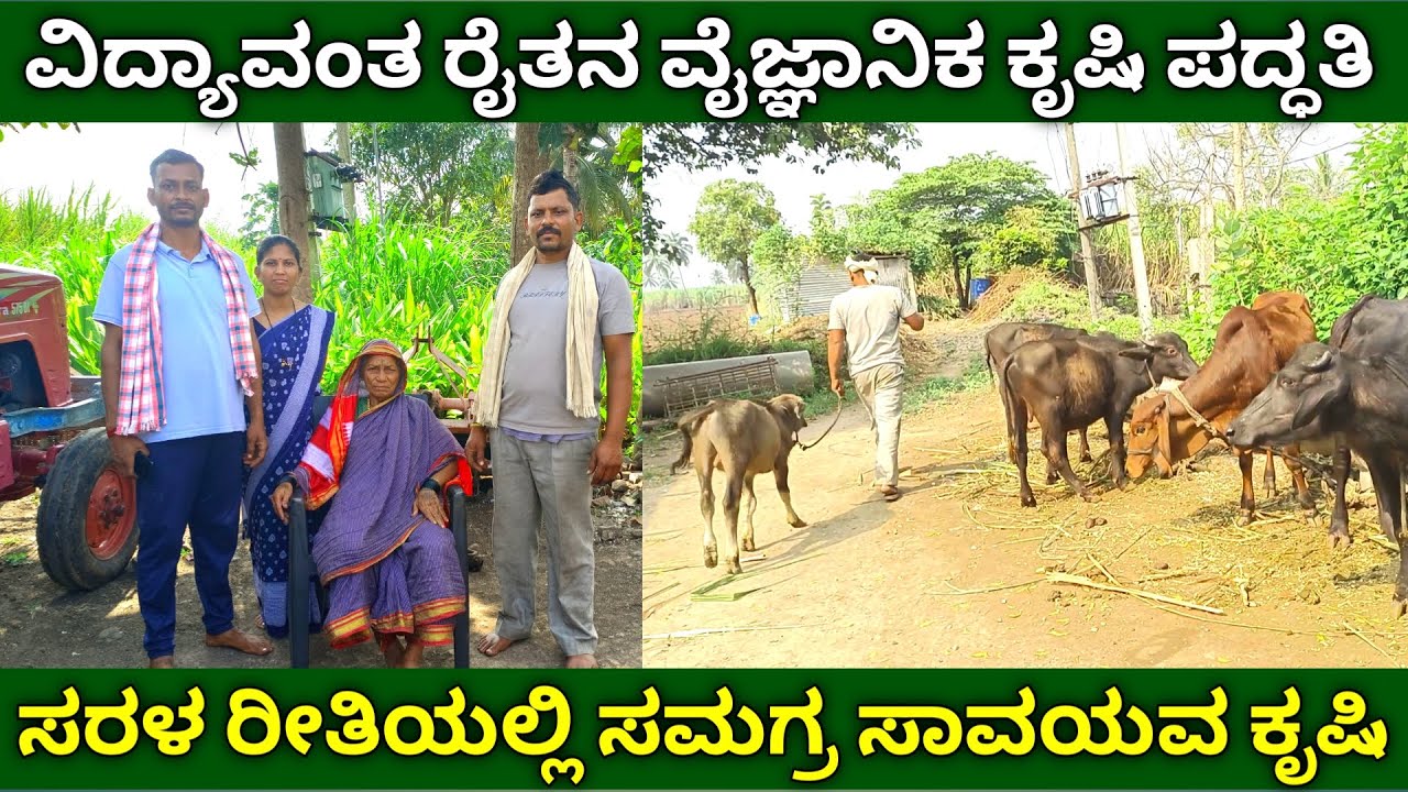 ವಿದ್ಯಾವಂತ ರೈತನ ವೈಜ್ಞಾನಿಕ ಕೃಷಿ ಪದ್ಧತಿ | integrated farming kannada | organic fertilizer for plants