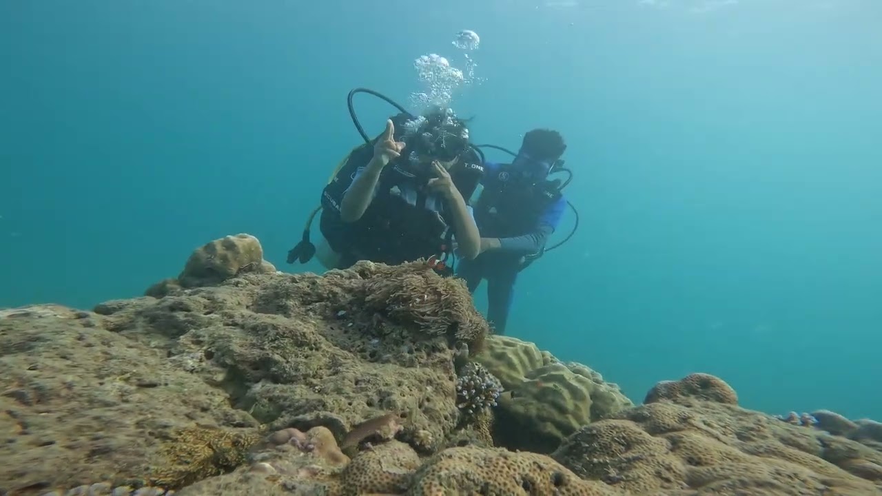 Scuba diver 
