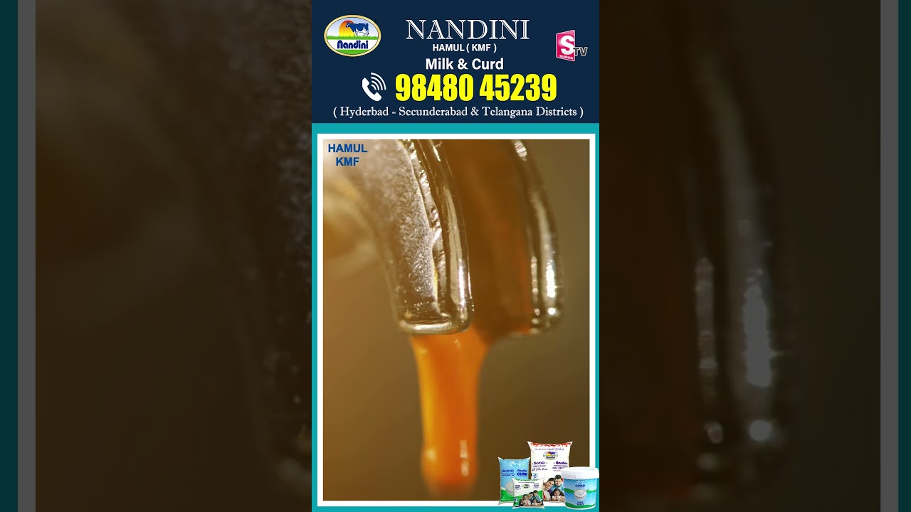 NANDINI HAMUL(KMF) Milk & Curd | 