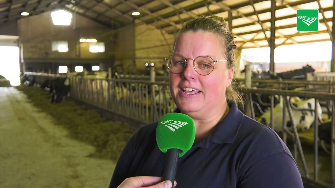 Zuivelboerderij De Kern maakt lekkerste roomboter