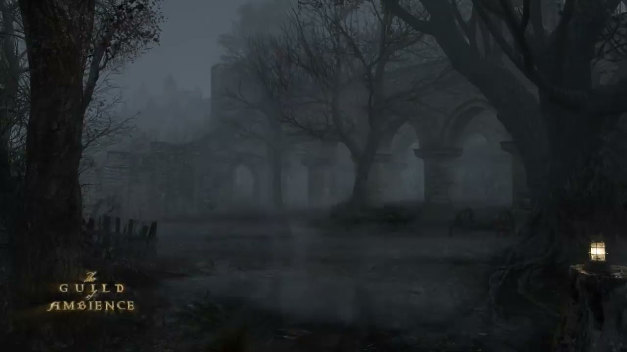 Floresta assombrada emite murmúrios fantasmagóricos por 1 hora 🦇