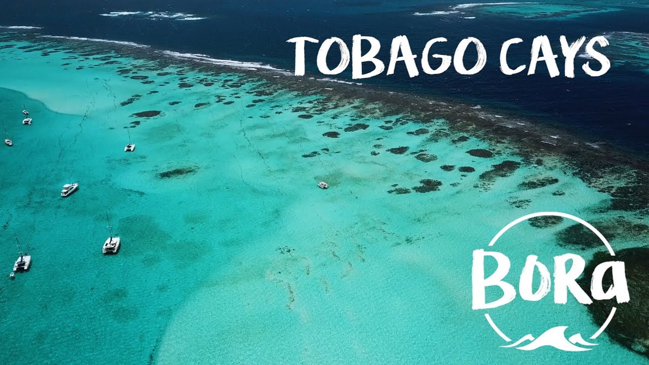 BORA #40 - TIVEMOS QUE FUGIR DE BEQUIA! Conhecendo Tobago Cays (English/Spanish CC)