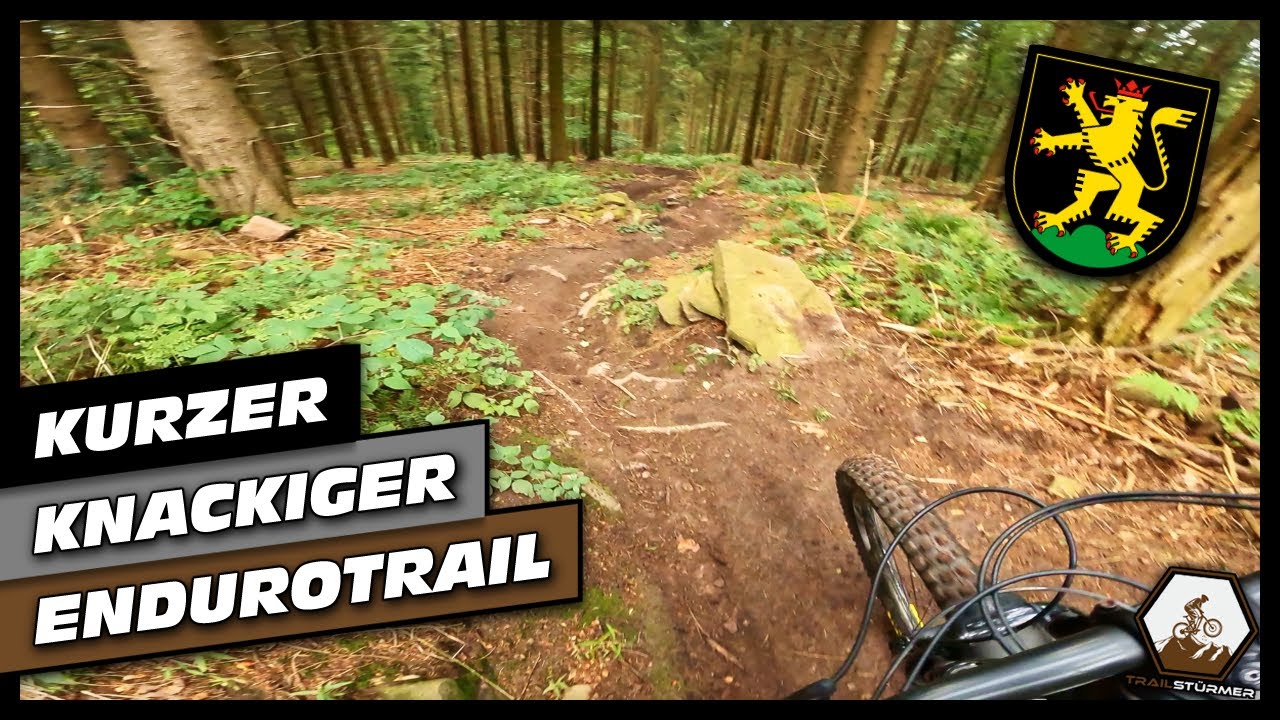 Kurz und knackig: Dieser Trail ist absolut underrated! | Heidelberg | Trailstürmer [4K]