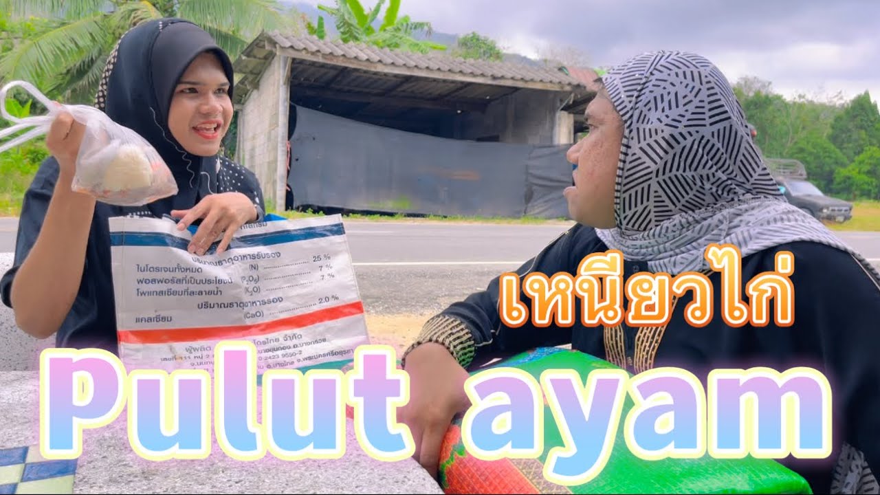 เหนียวไก่ Pulut ayam