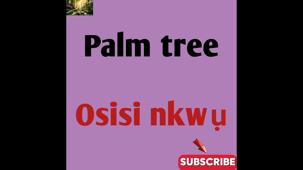 NAMES OF NATURAL THINGS AROUND US #igbolanguageclass #asusuigbo #asusuigboamaka