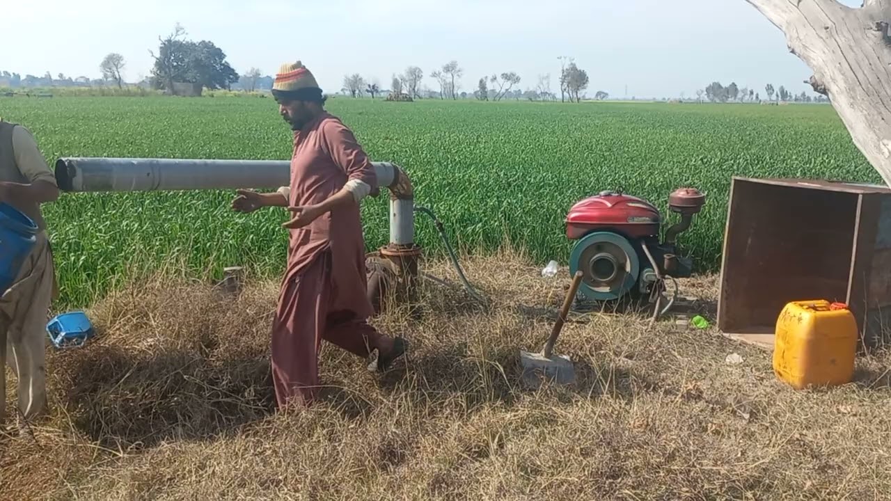 agriculture vedio sheikhupura