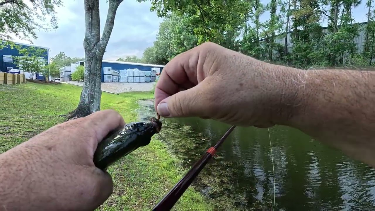 First Catch with My Tenkara Rod – Father's Day Fun