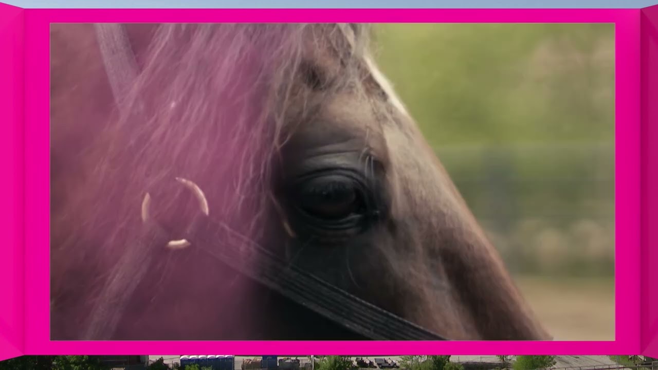 V&auml;lkommen till Elitloppet 2022 &ndash; Cokstile!