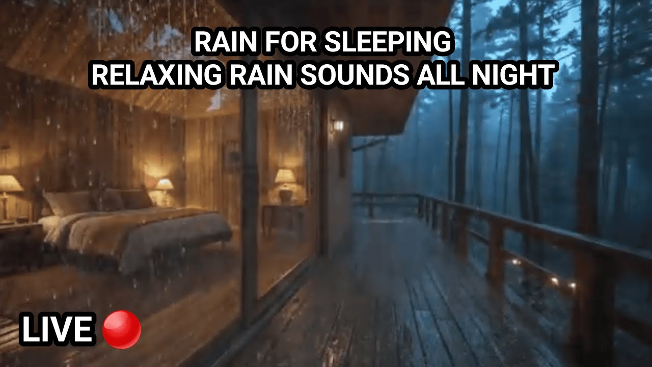 Soothing Forest Rain Sounds | Deep Sleep & Insomnia Relief All Night