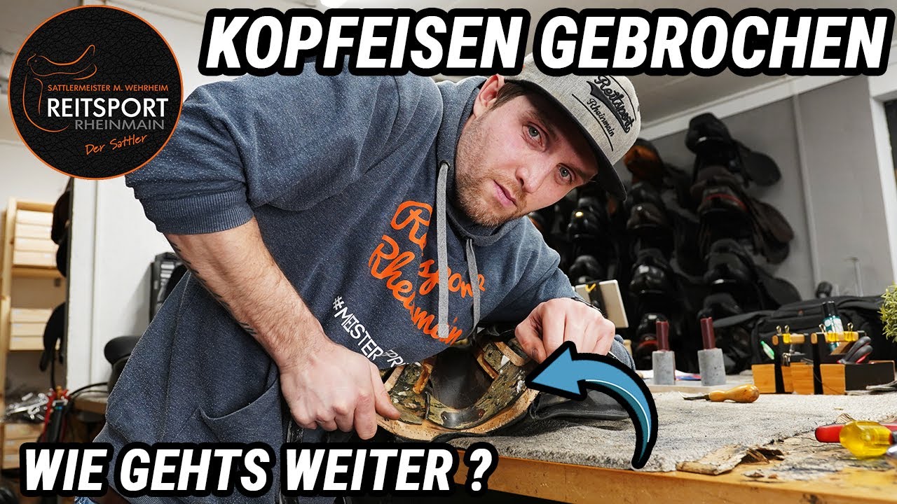 Kopfeisen gebrochen - wie gehts weiter? | Reitsport-Rheinmain