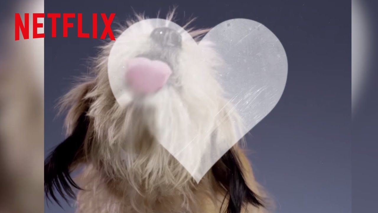 Benji in 30 Seconds | Benji | Netflix After School