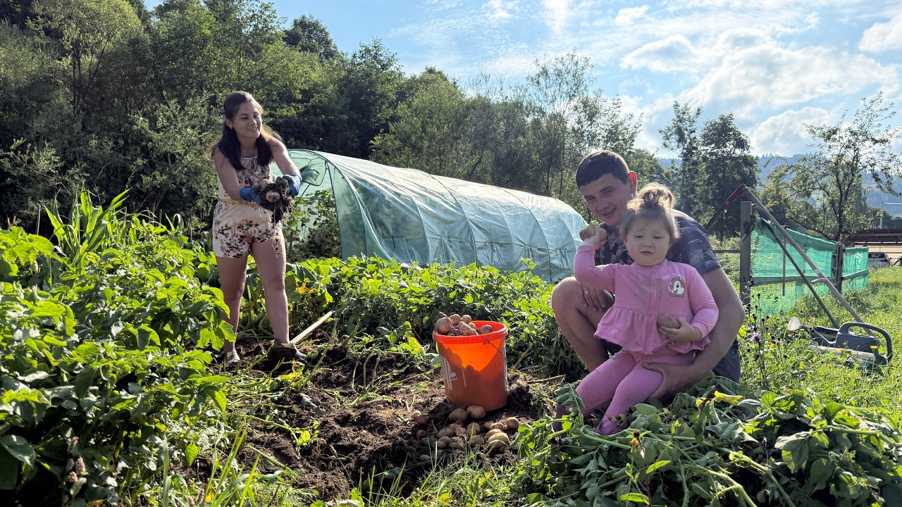Happy Rural Life in the Carpathians 😊🏔️ Fresh Potatoes, Lingonberries & Water in the Garage 🚜💧