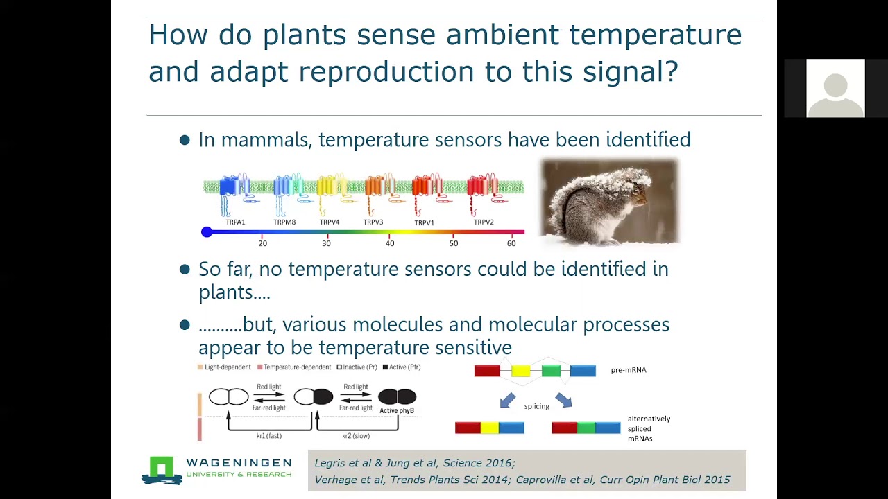 Richard Immink: Mechanisms underlying ambient temperature control of flowering time in Arabidopsis