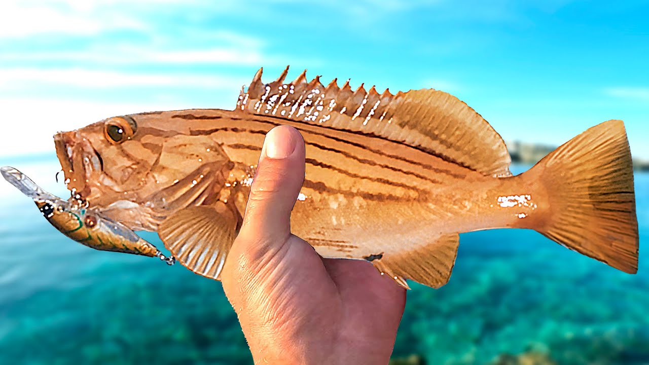 Ultra-Light ISLAND Fishing in CROATIA!