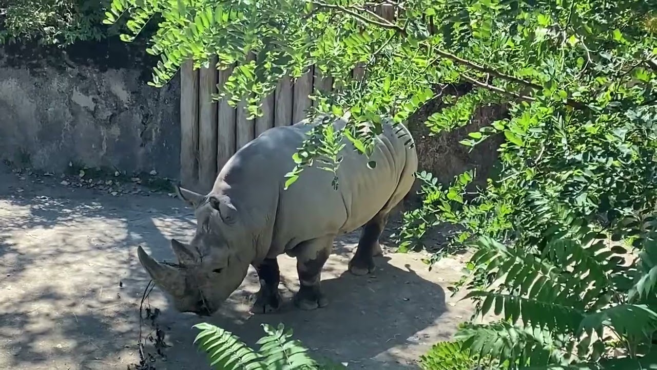 The Erie Zoo - August 2022