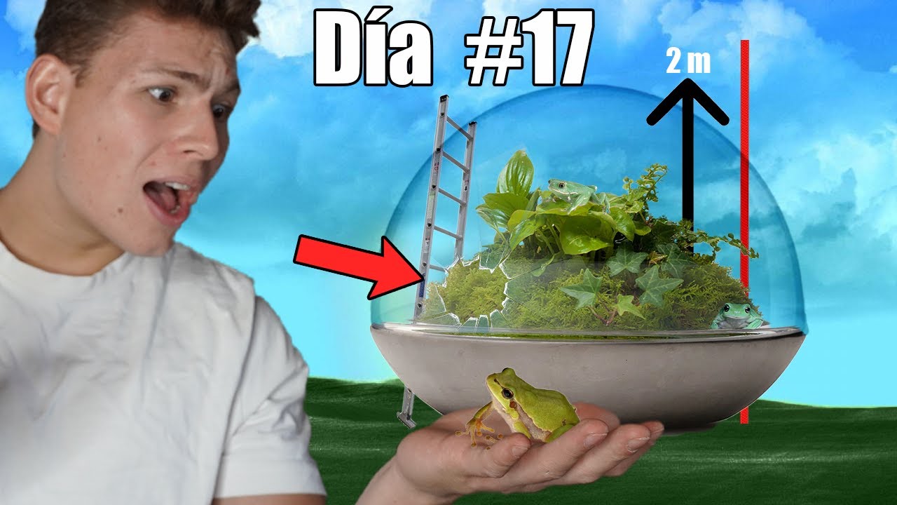 Construí un Ecosistema Miniatura