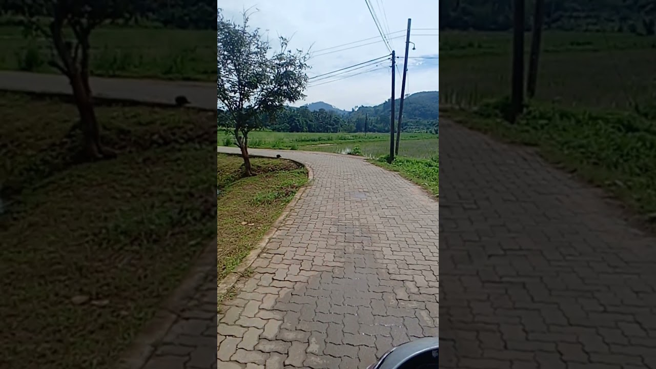 Rural Sri Lanka