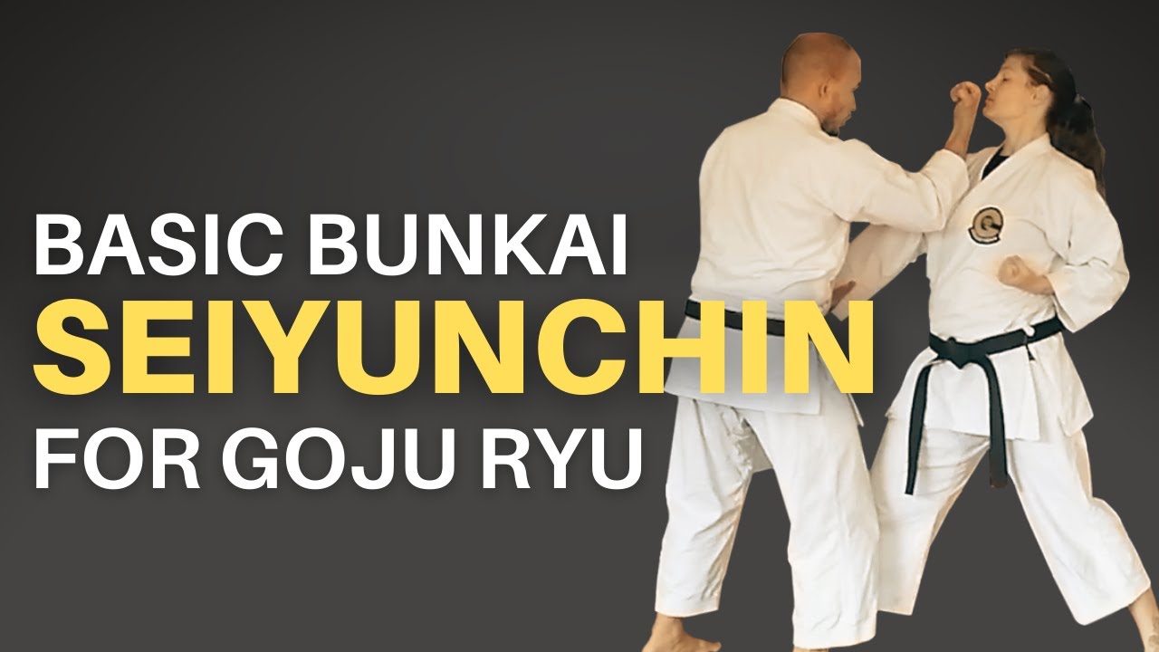 Basic Seiyunchin Bunkai for Goju Ryu