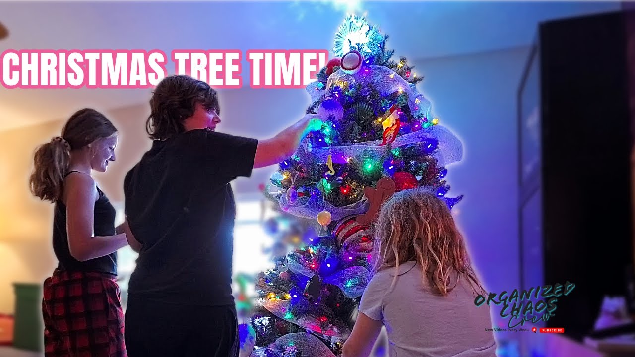 Время рождественской ёлки ​​| Наше любимое время года 🎄✨