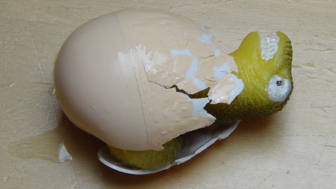 Hatching Dinosaur [Hateh'em Surprise Egg]