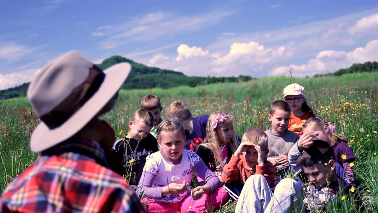 Chrząszcz - Wiersze Pana Kleksa