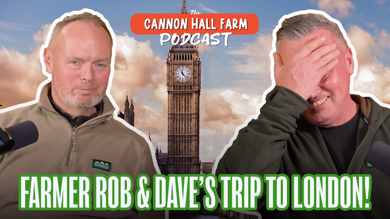 What REALLY happened in London! | Rob & Dave visit the capital!