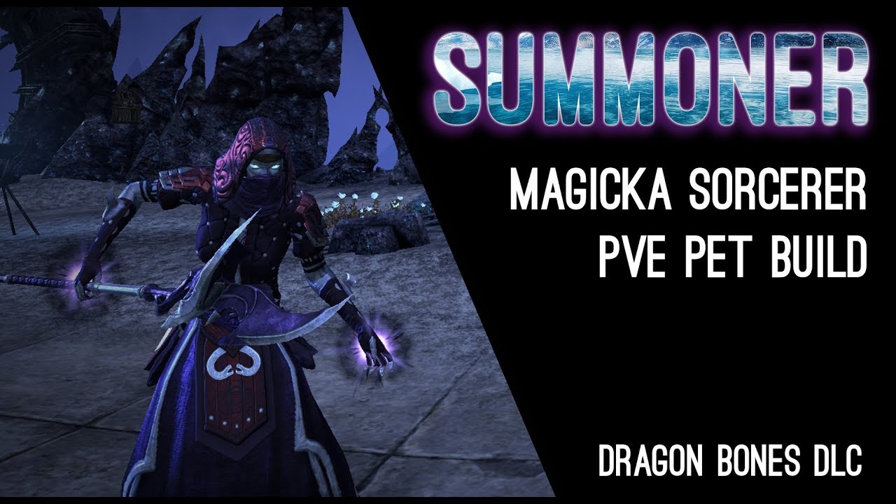 Magicka Sorcerer Pet Build 