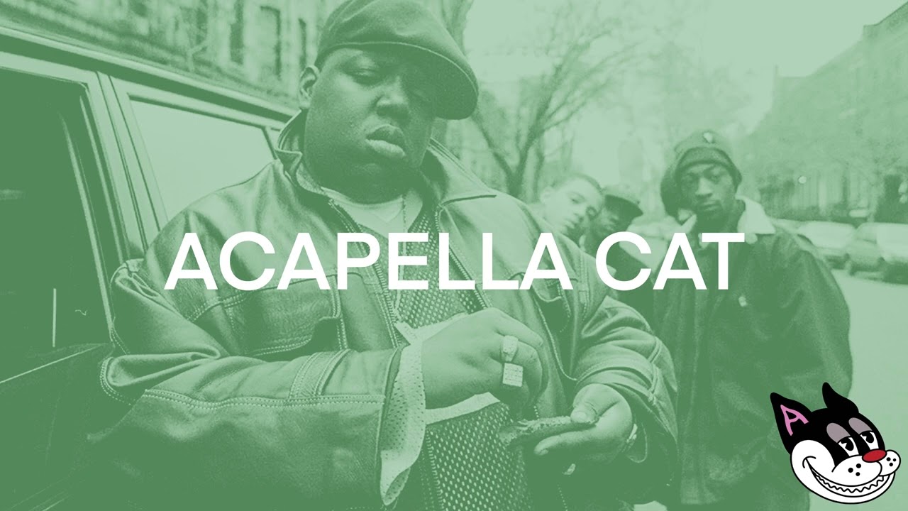Notorious B.I.G - Who Shot Ya Acapella 92 BPM - 4K Acapella Cat