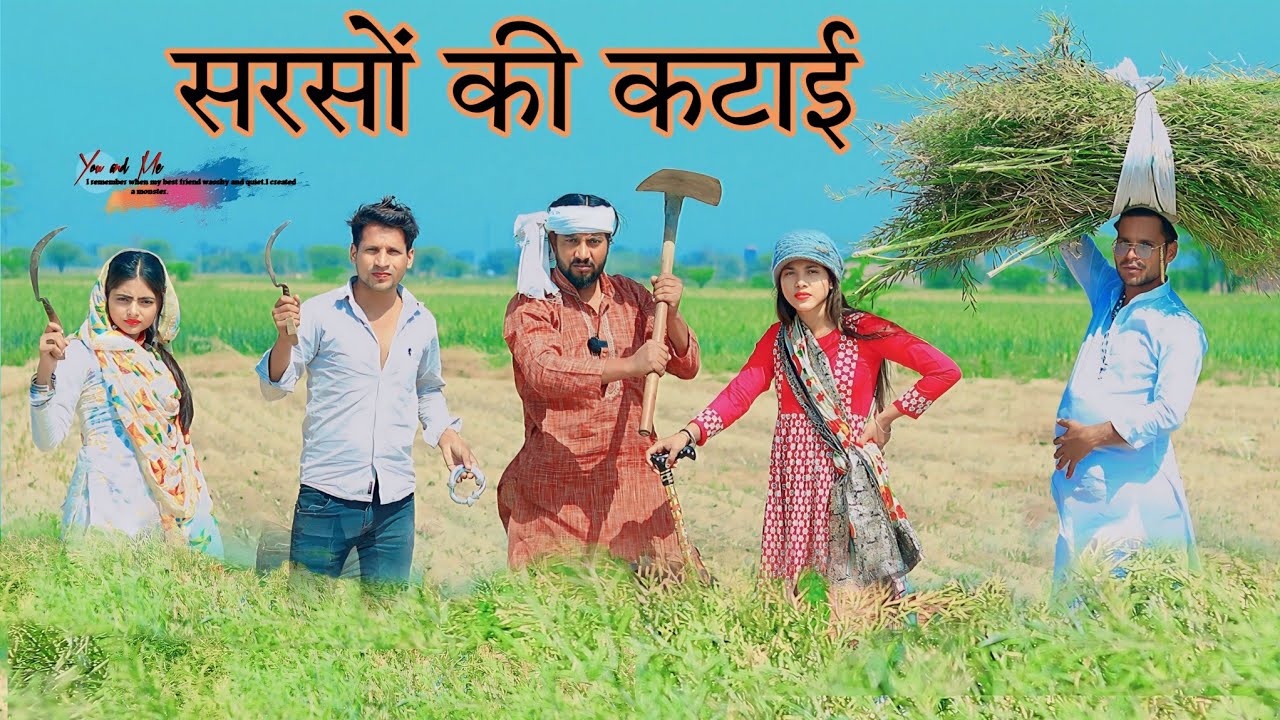 सरसों की कटाई // HAKKU SINGARIYA