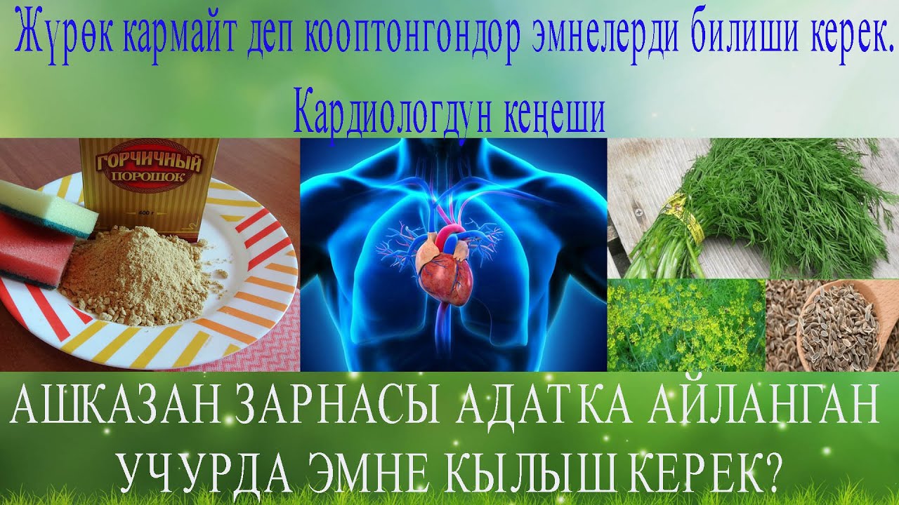 Жүрөк кармайт деп кооптонгондор эмнени билиши керек? Ашказан зарнасын үй шартында дарылоо