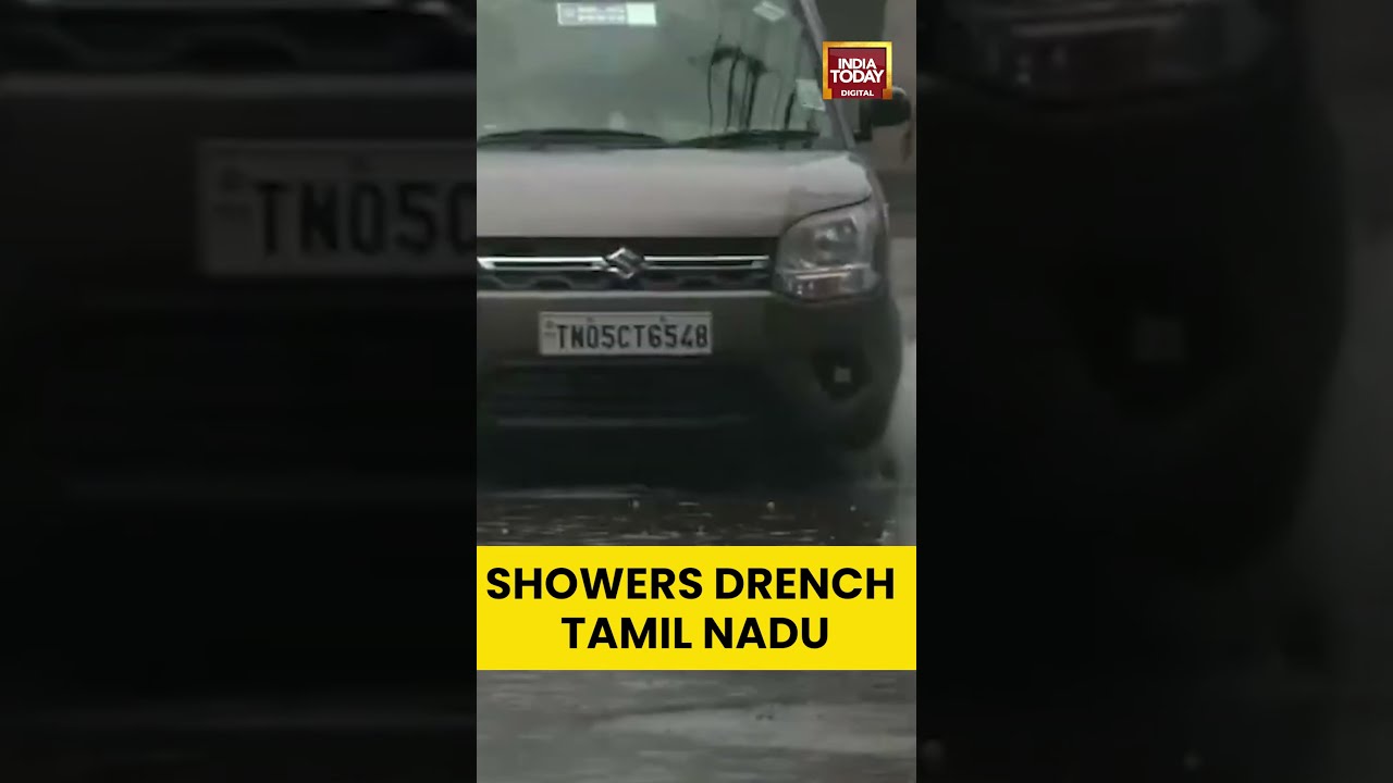 Chennai wakes up to morning rain | IMD predicts thunderstorms & showers across several TN districts