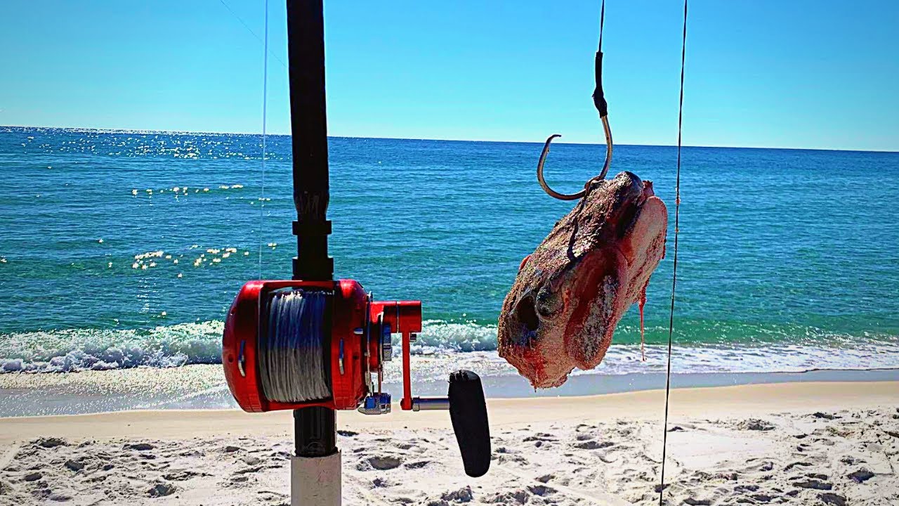 This did the trick! Small reel**big fish**