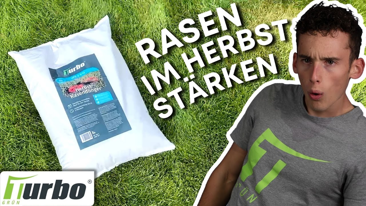 Der ideale Rasendünger für den Herbst | Herbst-Rasendünger | Turbogrün