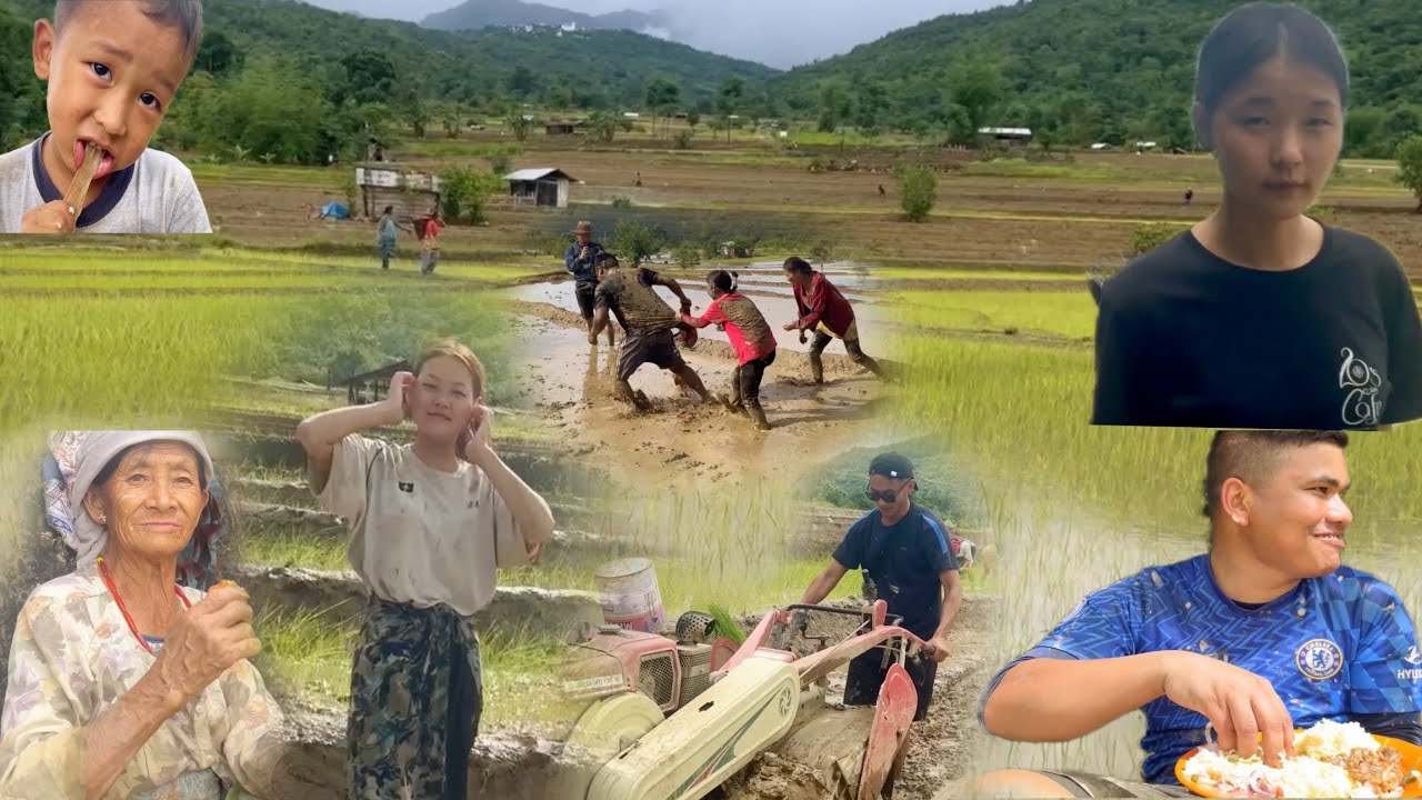 #guys I've Started Terrace Field Cultivation In Mima Village, Kohima , Nagaland🤩|  @abukeyiemixvlog