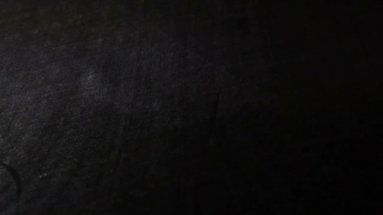 MVI 4467