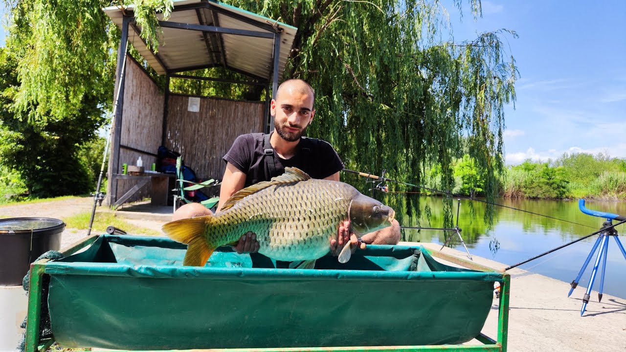 feeder pecanje na miki alas ( veliko jezero)
