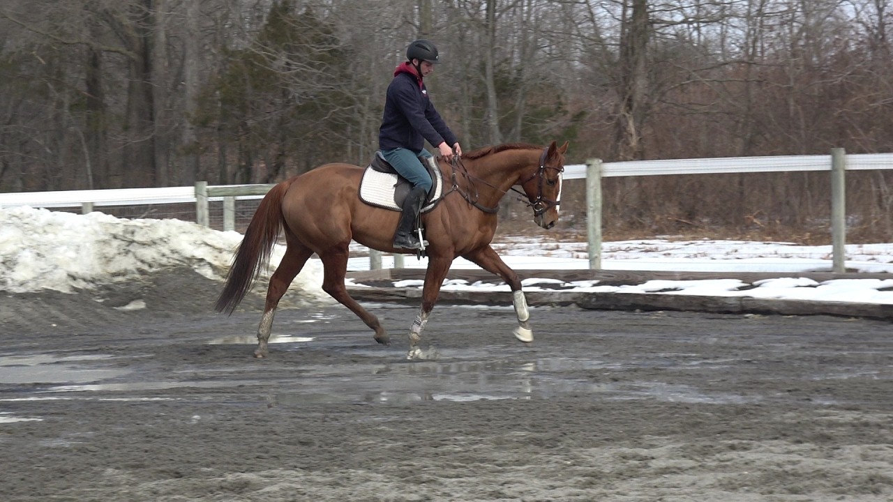 Fenwick first ride 2 11 26