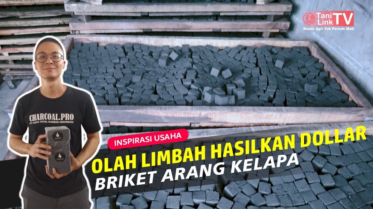 Produksi Briket Arang Tempurung Kelapa, Sebulan Bisa Ekspor 5-6 Kontainer