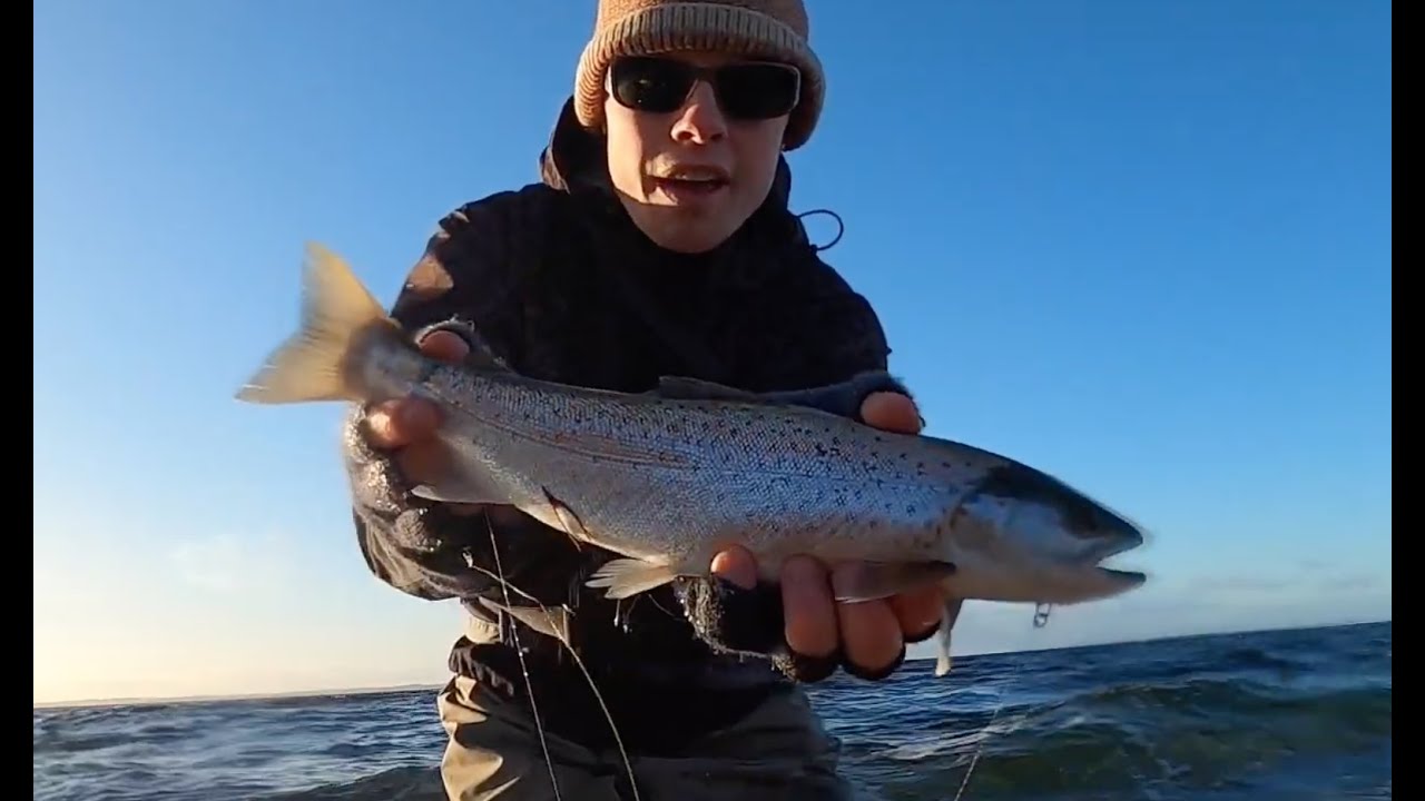 Havørredfiskeri - Tur til Ærø - del 1
