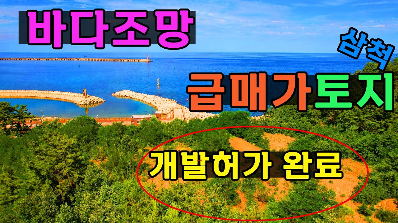 걸어서나오면 바로 바닷가해변 입니다!여기는 강원도 삼척에 바다조망토지 매매#삼척바닷가#바닷가토지#바다조망토지
