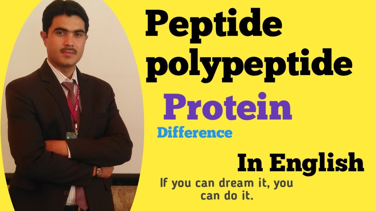 Peptide, polypeptide and protein in ENGLISH by dr Hadi