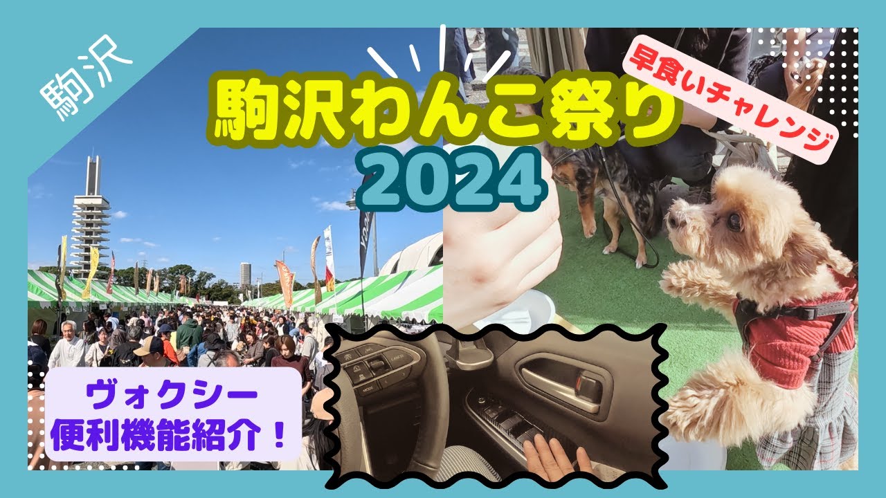 【駒沢わんこ祭り2024】新型ヴォクシー（90系）ので行く、プチ豆知識情報と、わんこ祭りで早食いチャレンジ！