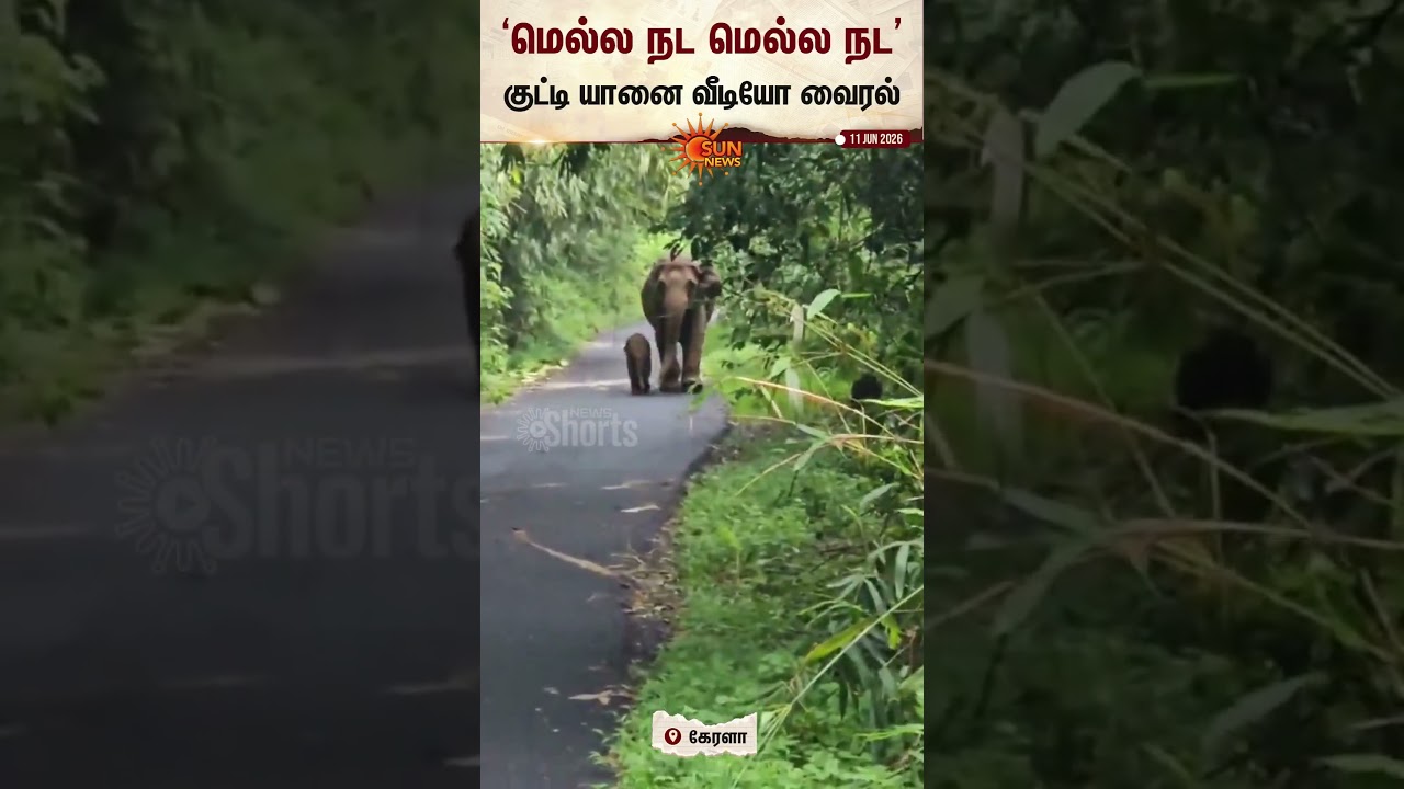 Kerala | Elephant | Viral Video | Sun News