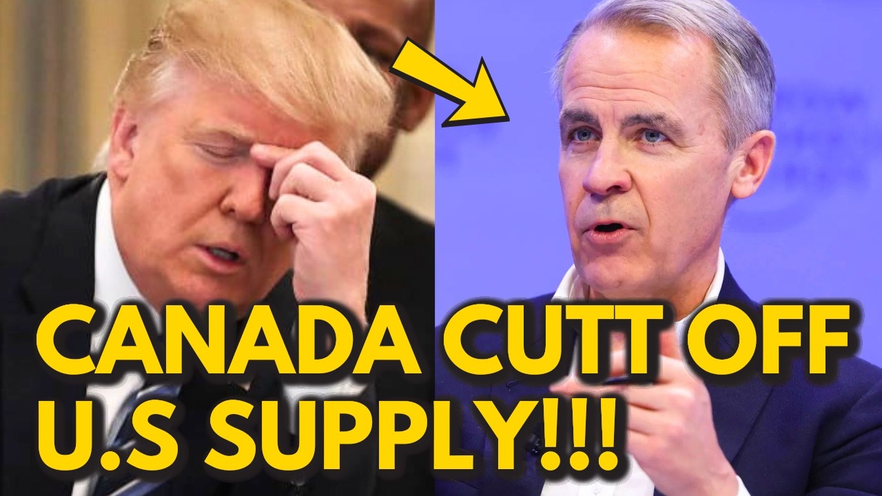 What Happens If Canada CUTTS OFF The United States SUPPLY CHAIN?