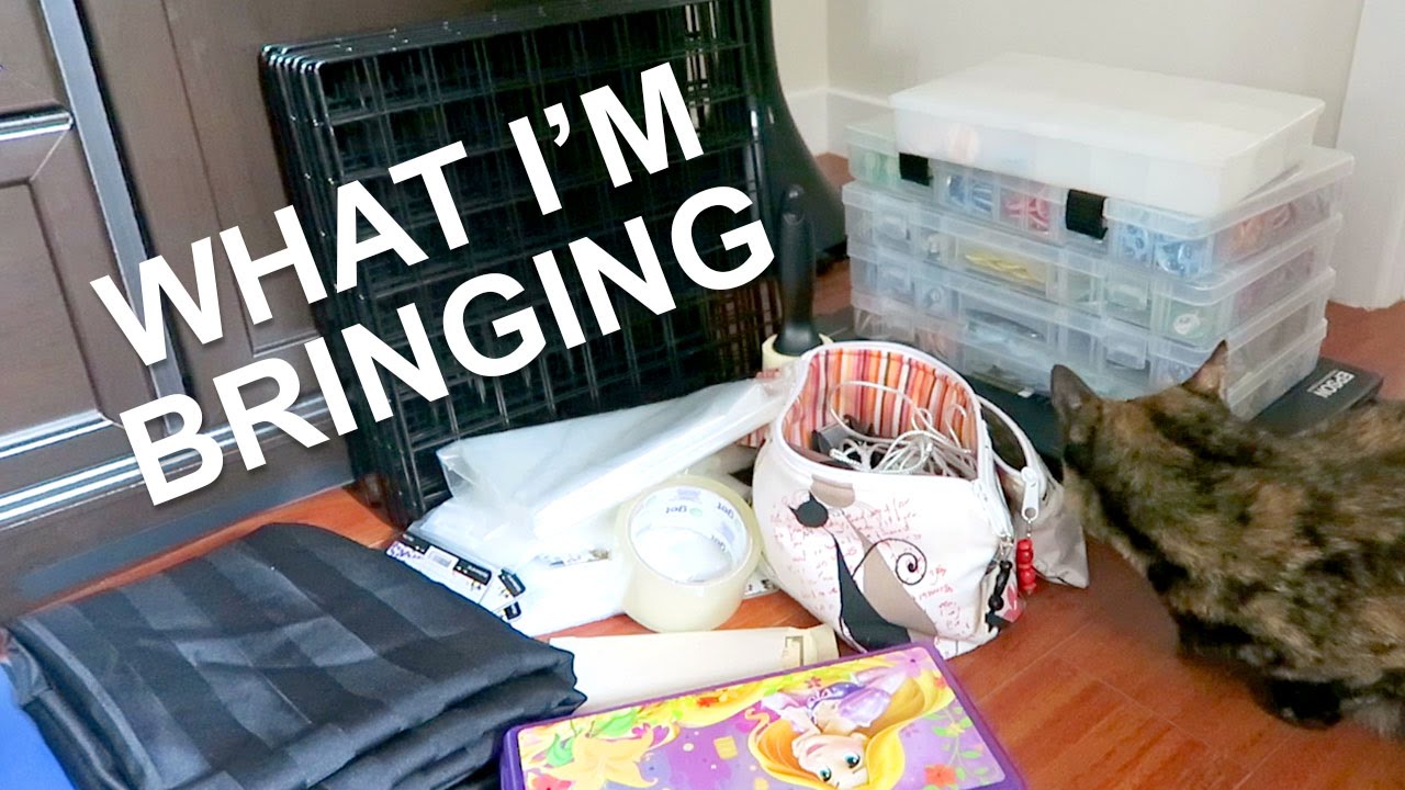 WHAT I'M BRINGING TO THE ARTIST ALLEY