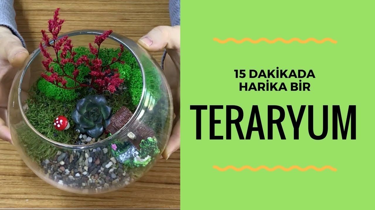 Yeni Başlayanlar İçin Teraryum Kiti - 15 Dakikada Teraryum