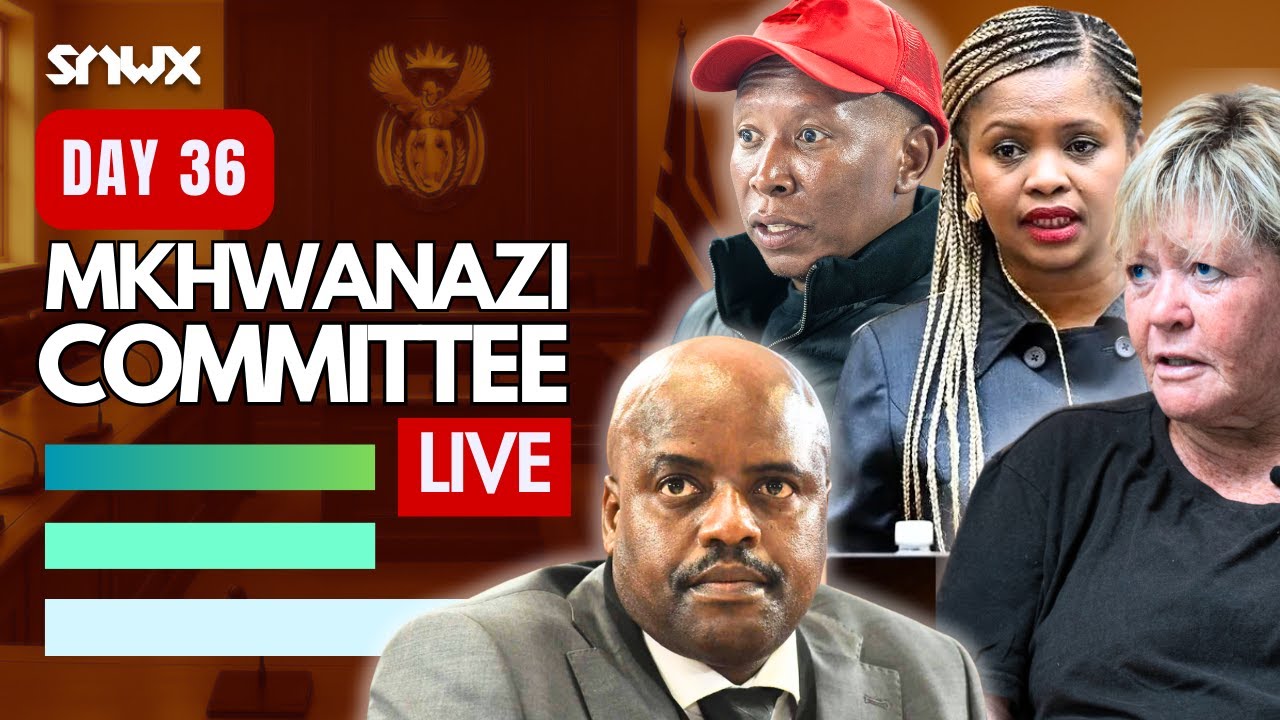 Julius Mkhwanazi testifies in Parliament
