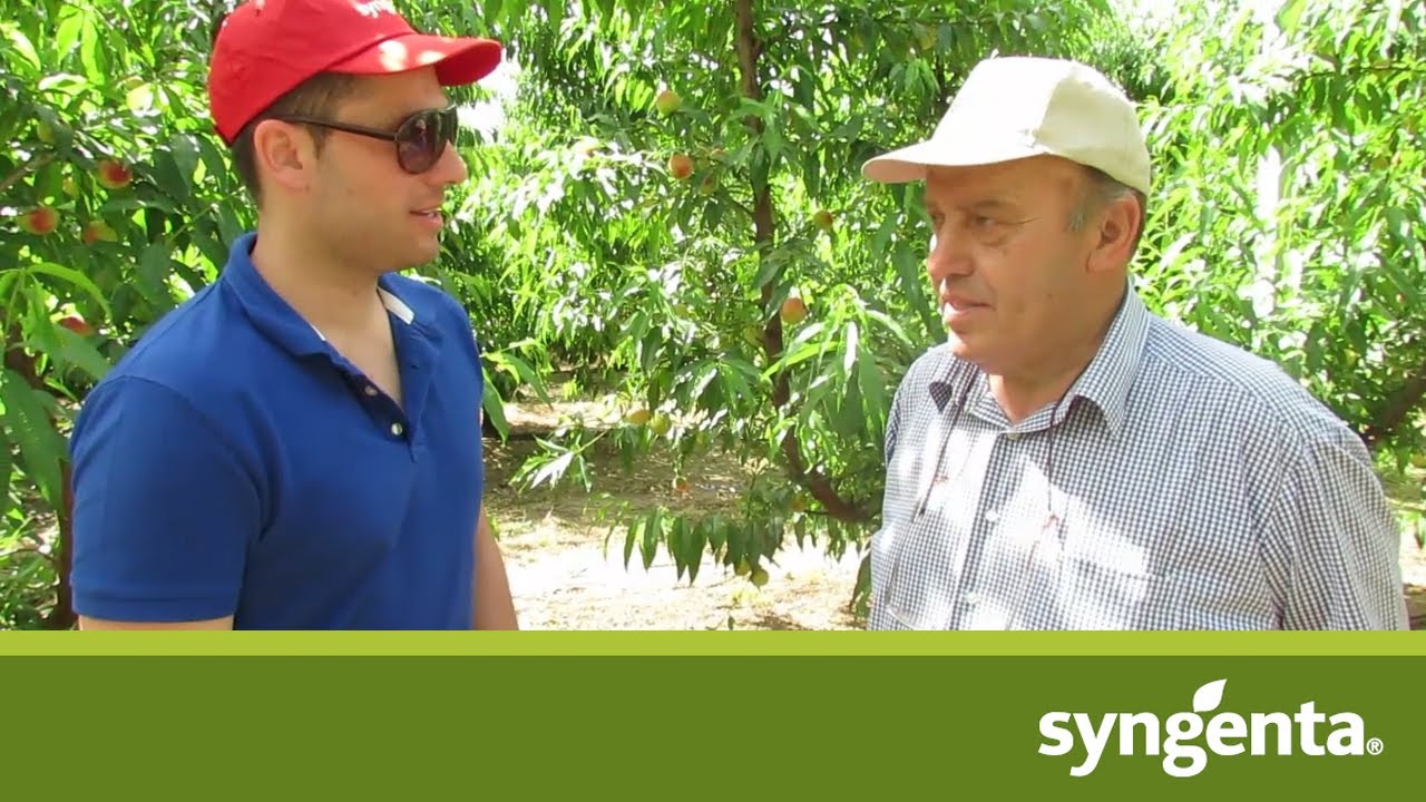 O Θεολόγης Καραΐνδρος, Πρόεδρος της Venus Growers μιλά για τις εκπαιδεύσεις παραγωγών της Syngenta